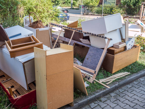 Best Hoarding Cleanup  in Colona, IL